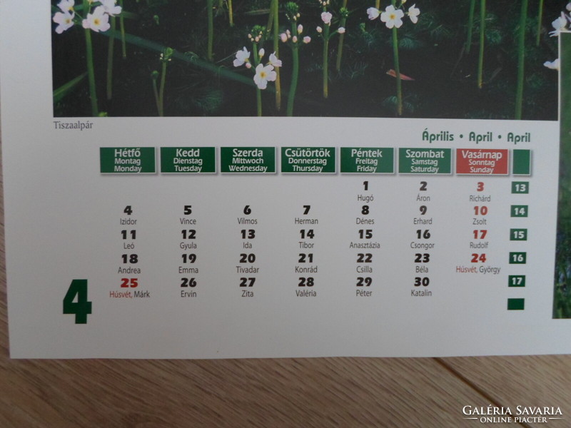 Poszter naptárlap 2.: Tiszaalpár, virág, bakcsó; április (fotóposzter)