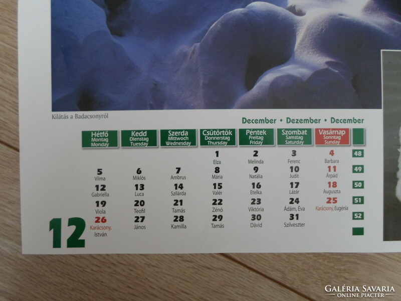 Poszter naptárlap 7.: Badacsony, hattyú; december (fotóposzter)