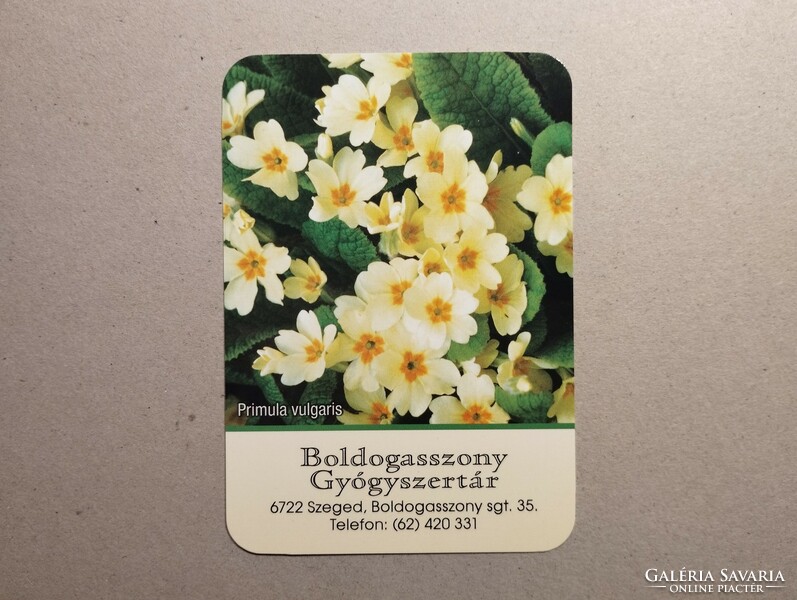Hungary, card calendar iii.- Boldogasszony pharmacy 2024