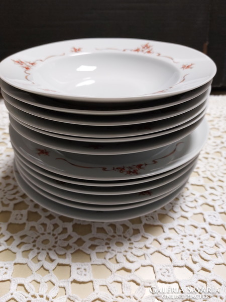 Lowland rosehip pattern porcelain 3 deep, 8 flat plates