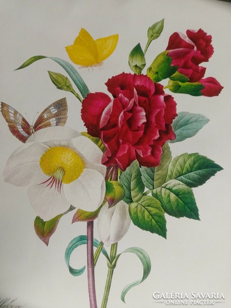 Bájos virágot és pillangót ábrázoló antik botanikai nyomat reprodukciója 20,1 x 27,6 cm