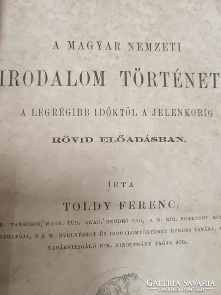 Ferenc Toldy, the history of Hungarian national literature, 1864-5 antique book in linen binding
