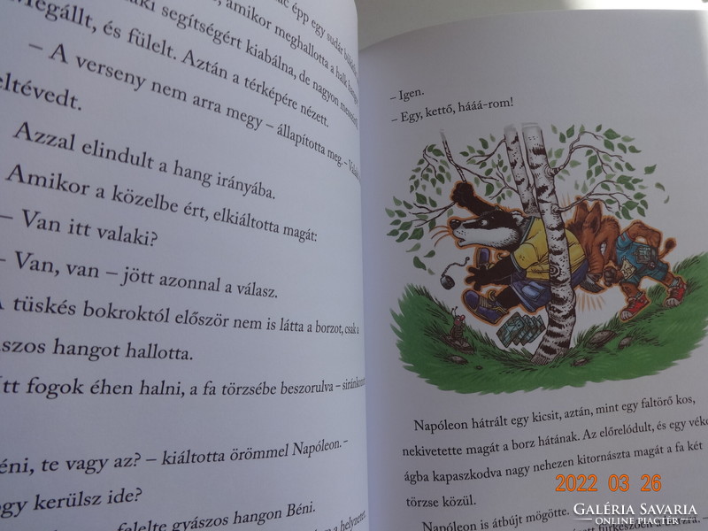Ágnes Palásthy: the badger trapped in the tree - more tales about the forest clearing - with drawings by gergely szőnyi