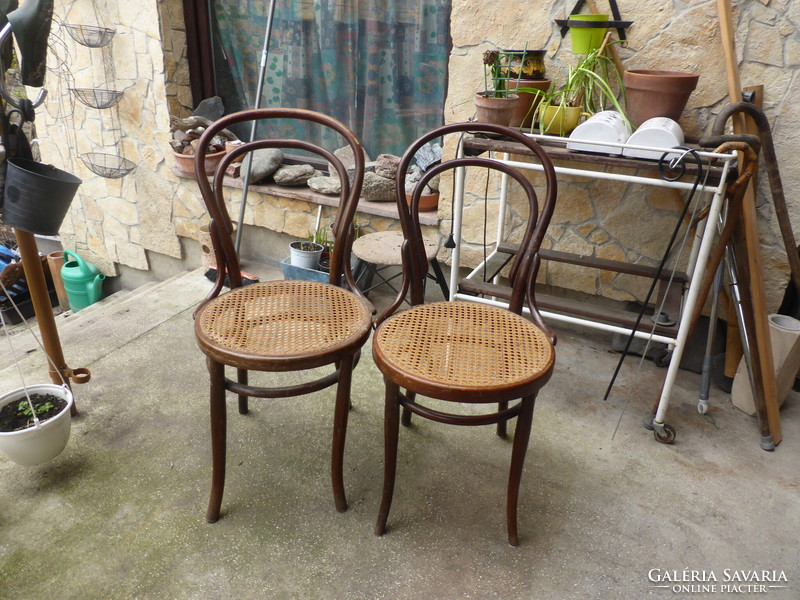 Pair of thonet chairs to be renovated