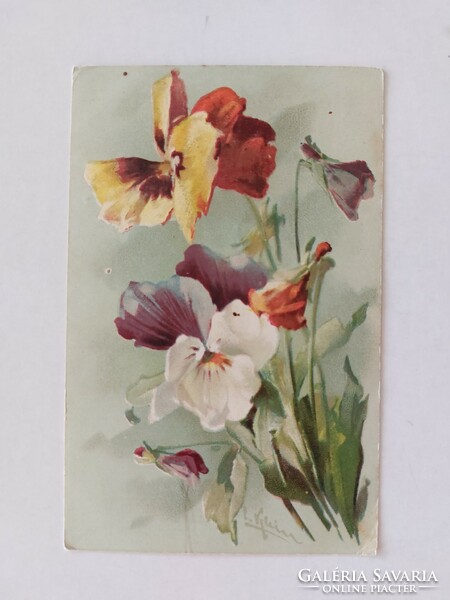 Old floral postcard with pansy. Klein
