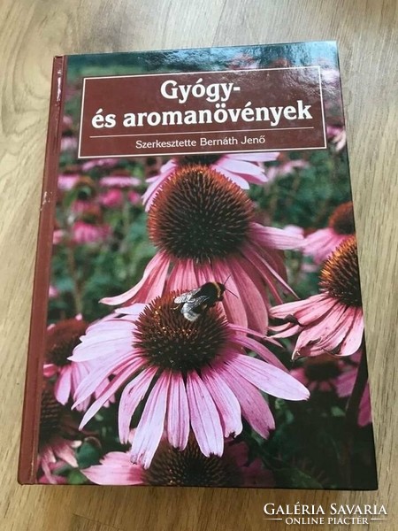 Jenő Bernáth: medicinal and aromatic plants are a rarity!