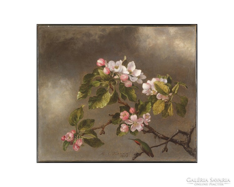 Martin Johnson Heade (1819-1904) Kolibri és almafa virágzás című 1875-ben alkotott műve, reprodukció
