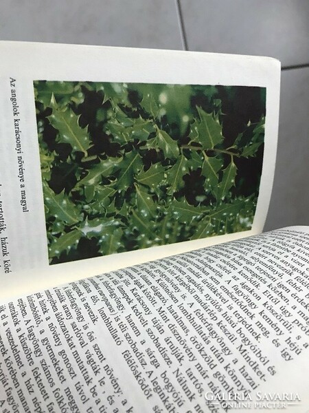 Magda Járainé Komlód: legendary plants - thought pocket books