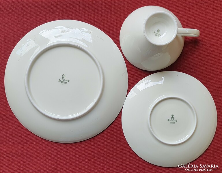 Winterling röslau bavaria german porcelain tea coffee breakfast set cup saucer small plate