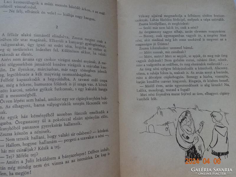 Szinnyei Júlia: Erdészház - régi, ritka pöttyös könyv Rogán Ágnes rajzaival (1964)