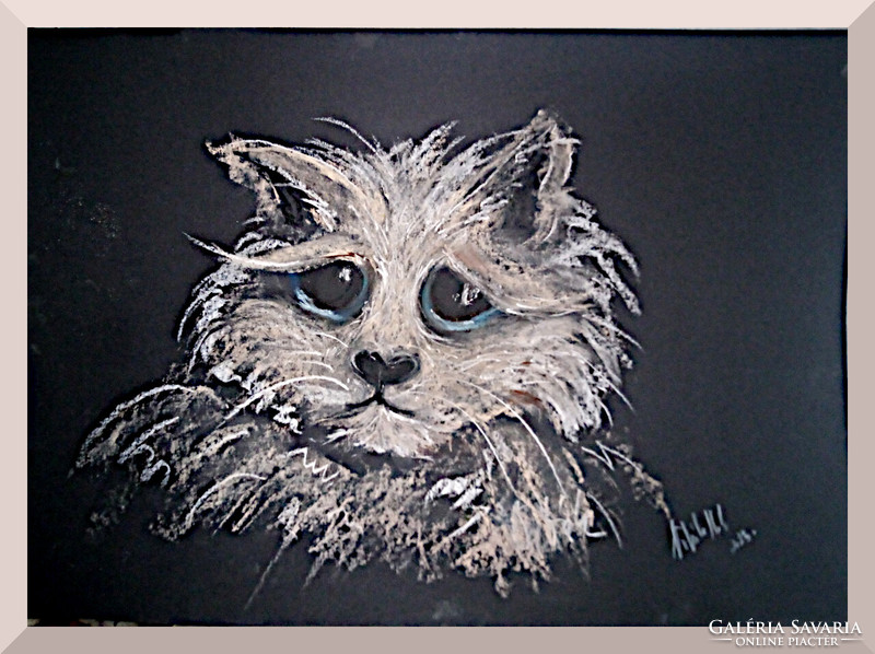 Cat care (dogs + cats pastel) 50x35cm