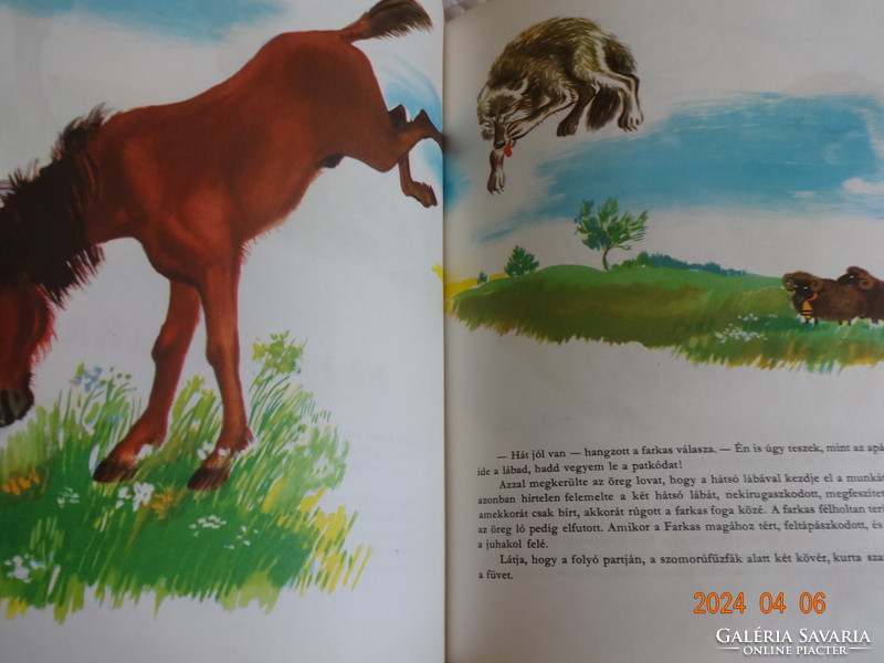 Forest stories - old storybook, richly illustrated animal tales