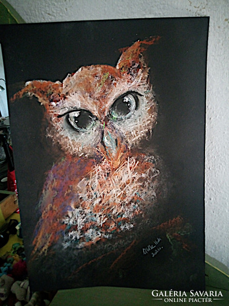 Owl (dogs + cats pastel) 50x35cm