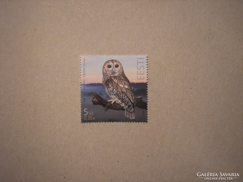 Estonia - fauna, birds, owl 2009