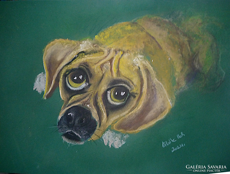 Dog grief (dogs + cats pastel) 50x35cm