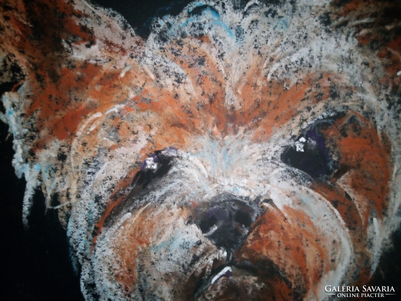 Pamacs (dogs + cats pastel) 50x35cm