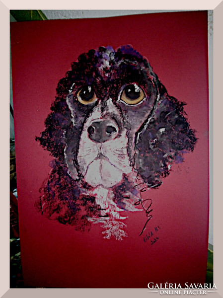 Bongyor (dogs + cats pastel) 50x35cm