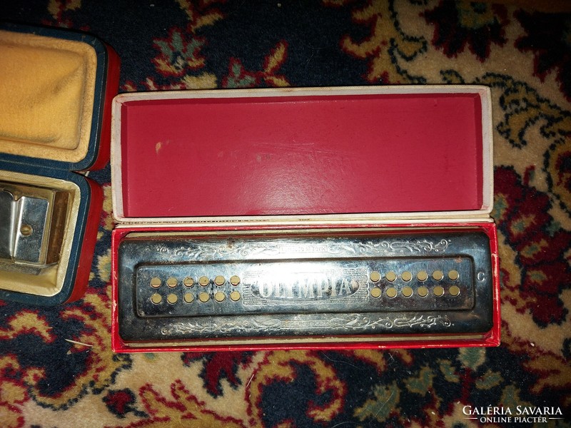 Olympia harmonica