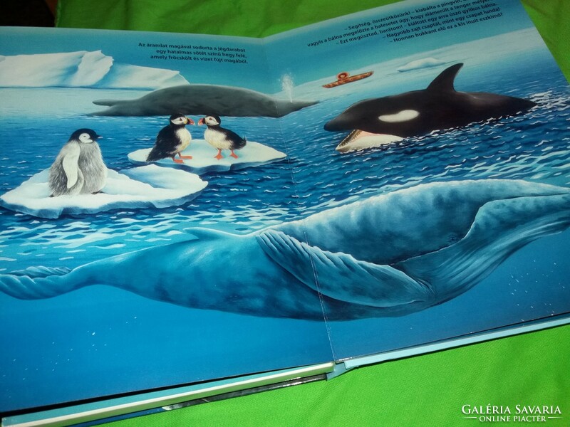 Gyönyörű interaktív A pingvin és a sarkvidék állatai képes könyv 12 állatfigurával a képek szerint