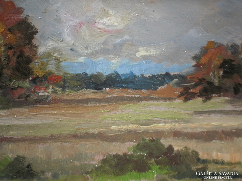 Simon Hohenegger (1898 - 1990) - cloudy landscape