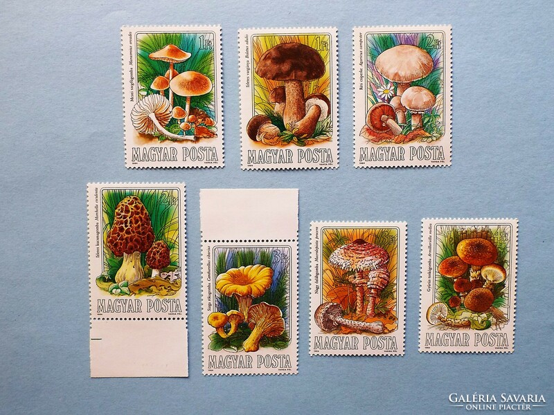 (B) 1984. Fungi i. Row** - edible mushrooms - (cat.: 800.-)