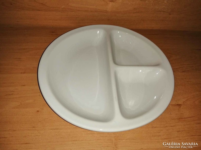 Plankenhammer floss Bavarian German porcelain divided plate - 26.5 cm (2p)