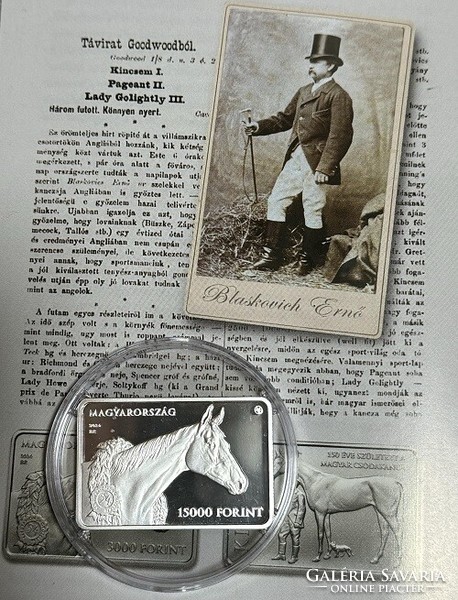 My treasure - silver commemorative coin proof 2024