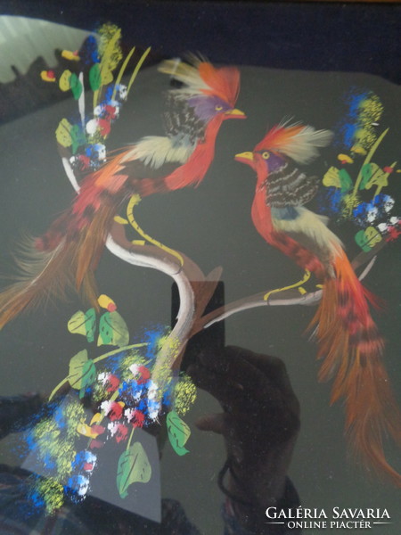 Birds of paradise, painting with feathers