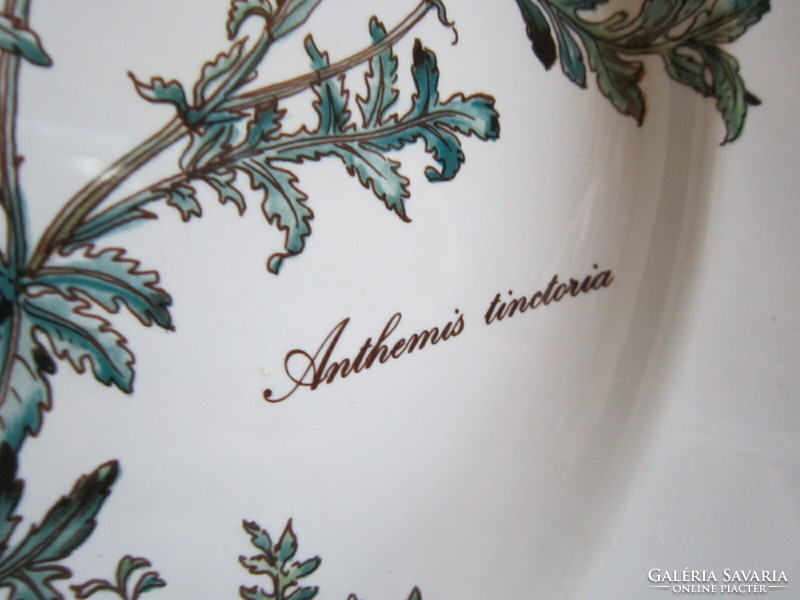 2 Villeroy and boch botanica piping pattern bowl anthemis tinctoria