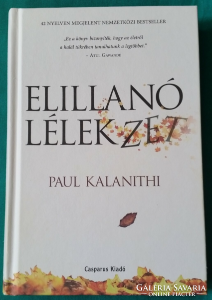 'Paul Kalanithi: evanescent soul - remember death - because it shines in life! - Novel