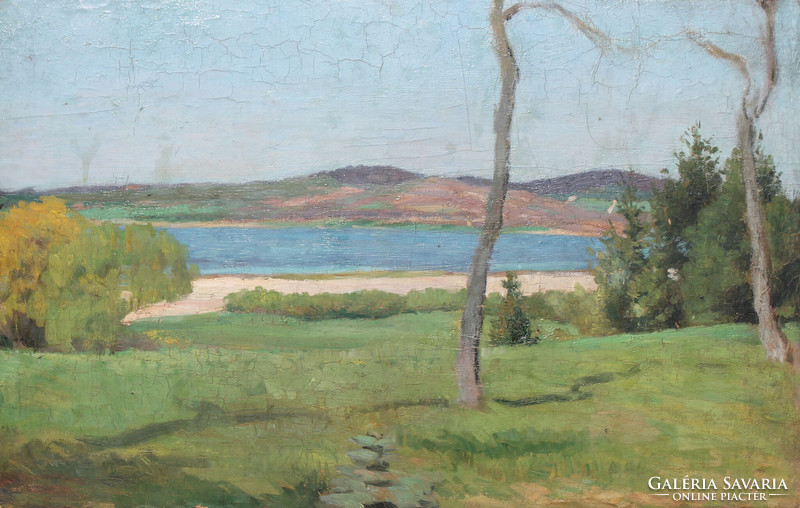 Nagybányai festő, XX. század első fele: Napfényes vízparton