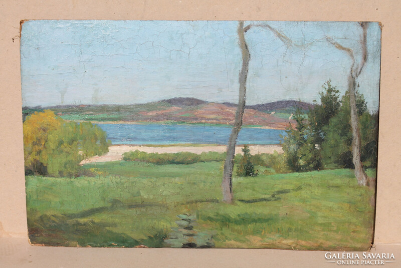 Nagybánya painter, xx. First half of the century: on a sunny waterfront