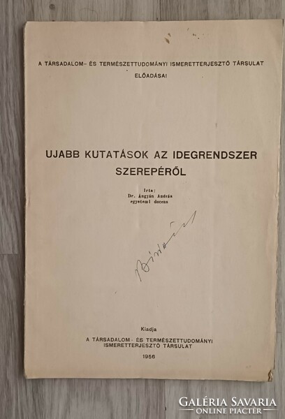 Dr Ángyán András:Újabb kutatások az idegrendszer szerepéről.