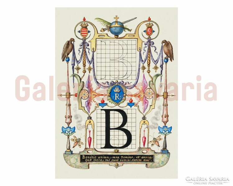 B betű gazdagon díszítve a 16. századból, a Mira Calligraphiae Monumenta alkotásból