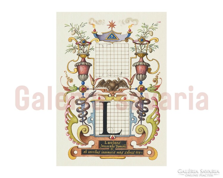 Letter L richly decorated from the 16th century, from the work mira calligraphiae monumenta