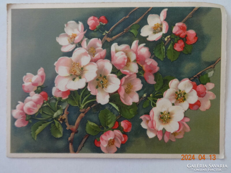 Old graphic floral greeting card, apple tree blossom, postage stamp
