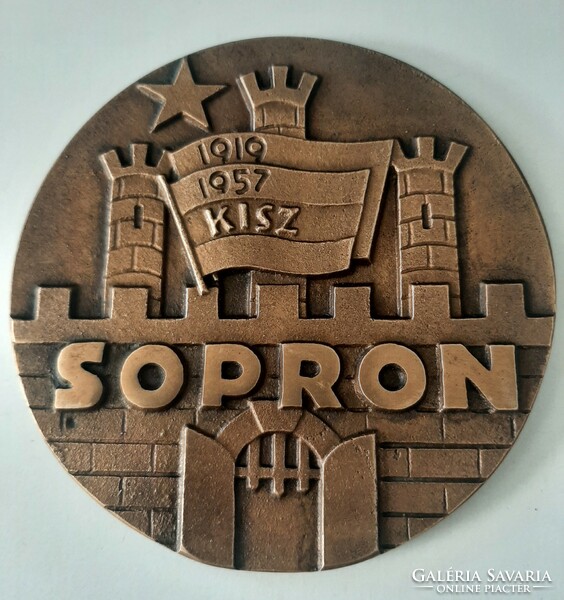 Kálmán Renner: sopron ix.Odot 74 bronze commemorative plaque 9.7 cm