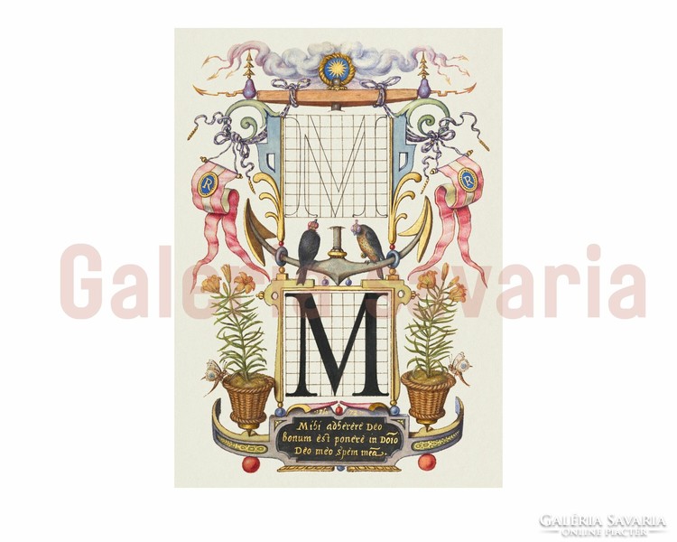 M betű gazdagon díszítve a 16. századból, a Mira Calligraphiae Monumenta alkotásból