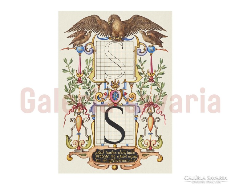 S betű gazdagon díszítve a 16. századból  a Mira Calligraphiae Monumenta alkotásból