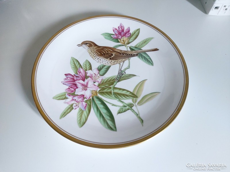 Csodaszép, kézzel festett madaras porcelán Spode fali dísztányér