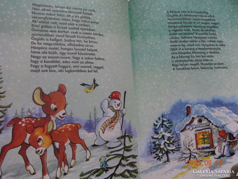 Magda Donászy: the lost deer - children's poems with drawings by Zsuzsa Radvány