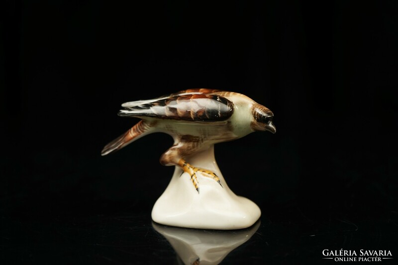 Old aquincum hand-painted porcelain bird figurine / retro