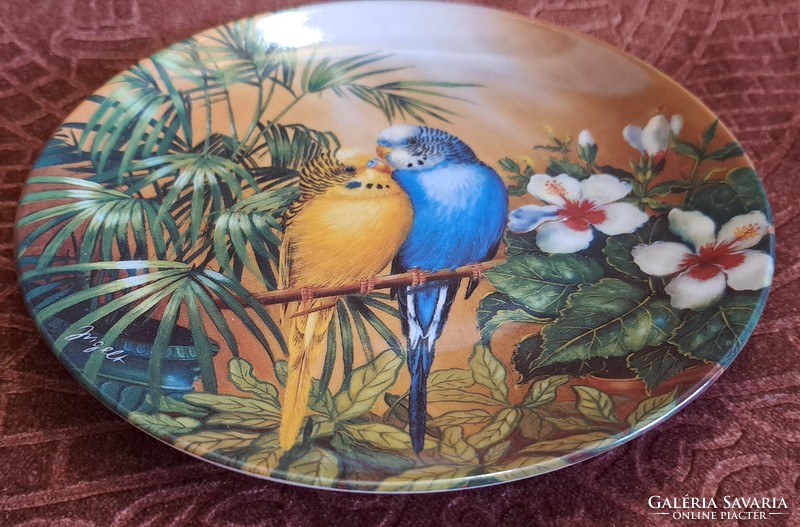 Wavy parrot porcelain decorative plate, rare bird wall plate 2 (l4629)