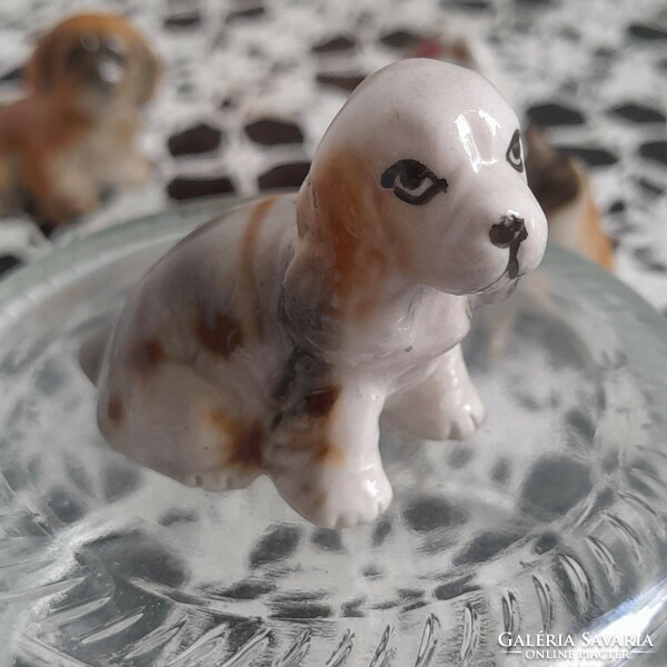 Porcelán mini kutyusok 5 db jelzetlen