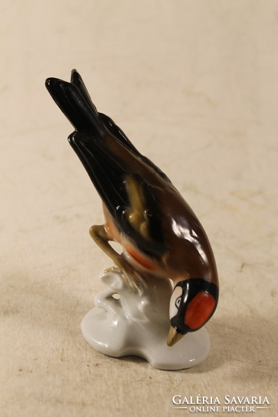 German rare porcelain bird 805