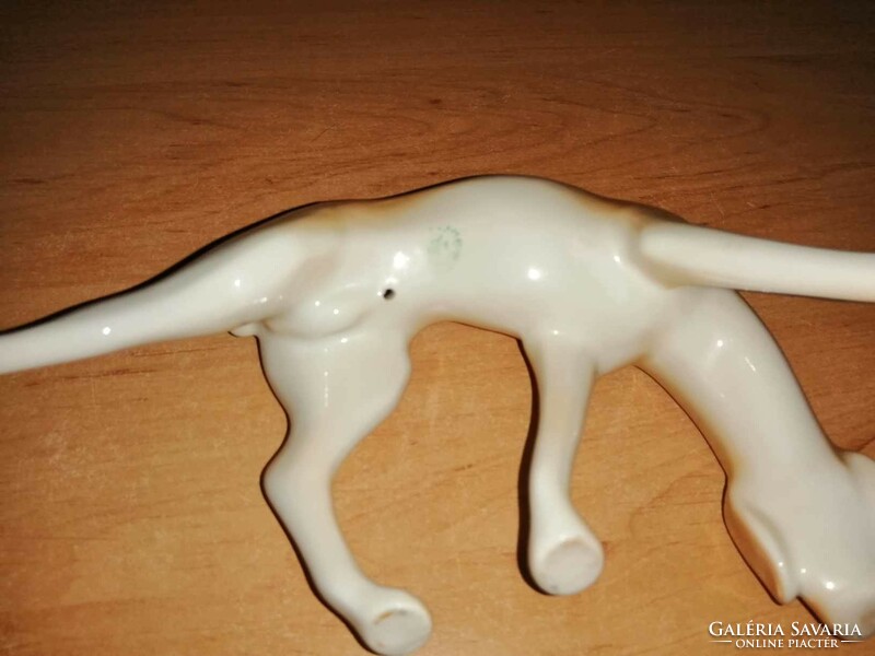 Ravenclaw porcelain Vizsla dog figure (po-3)