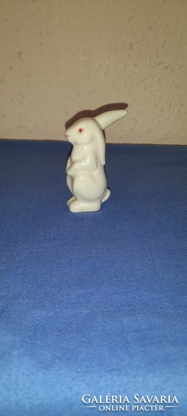 A rare collector's quarry rabbit (drasche) is a member of the umbrella rabbit team. Based on pictures