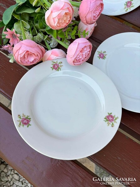 Beautiful pink cookie plate cookie porcelain with flowers