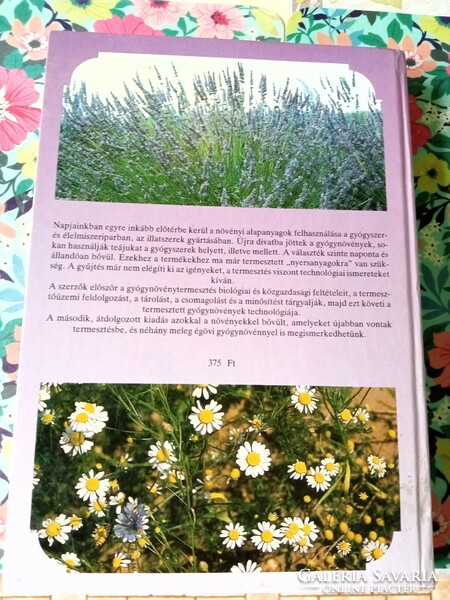 The book László Dr Hornok: cultivation and processing of medicinal plants is for sale.