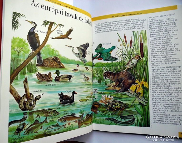 Arturo arzuffi: fauna of European lakes and rivers